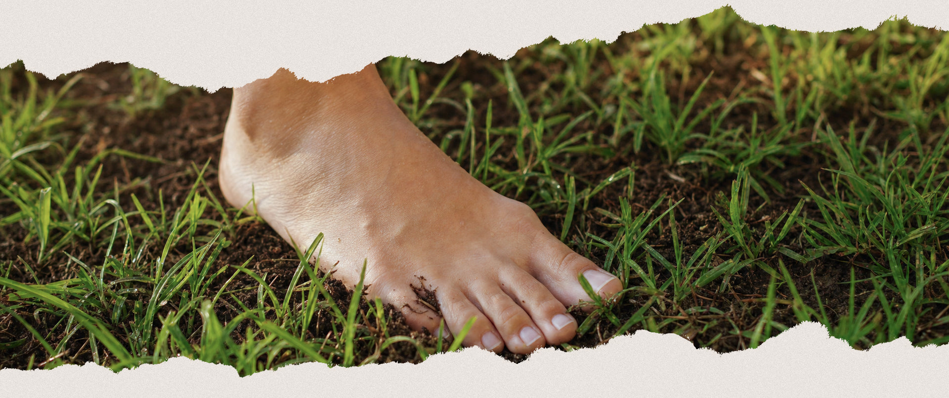 Pieds nus dans l'herbe, reconnectant le corps au mouvement naturel et aux sensations du sol.