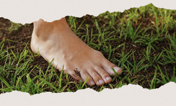 Pieds nus dans l'herbe, reconnectant le corps au mouvement naturel et aux sensations du sol.